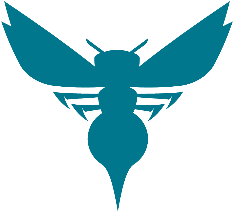 Charlotte Hornets 2014-Pres Alternate Logo iron on transfers for fabric version 3